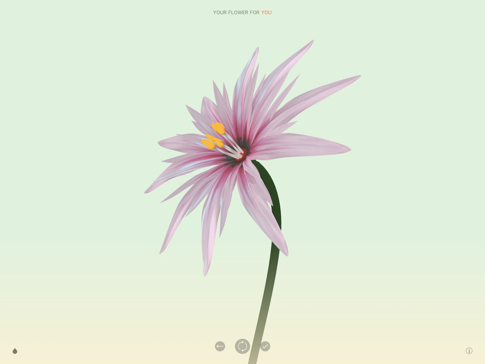 Wildflower