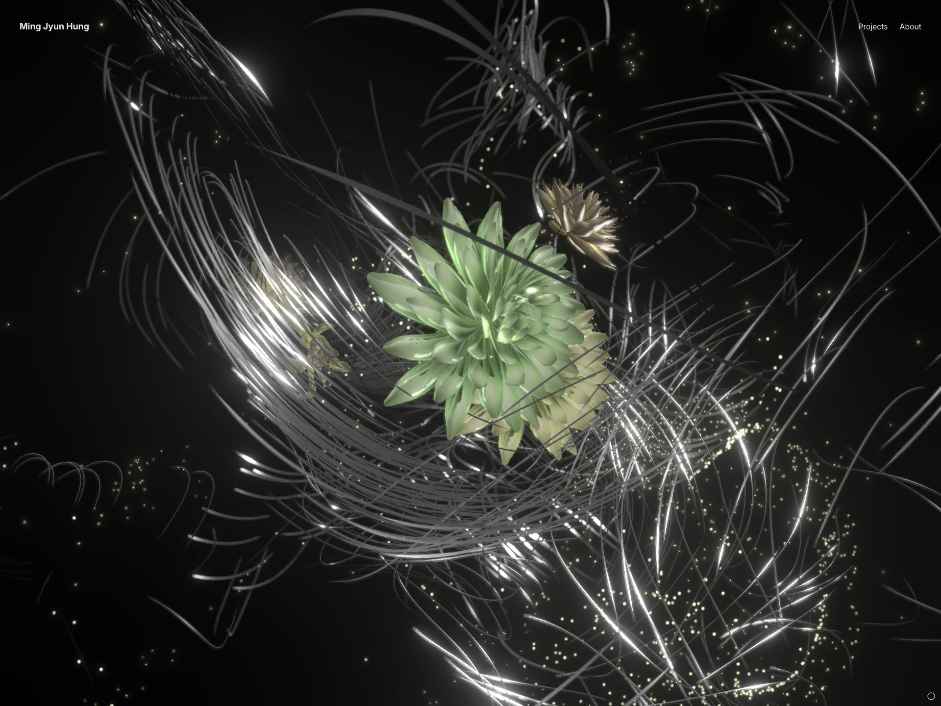 Ming Jyun Hung | Creative Technologist