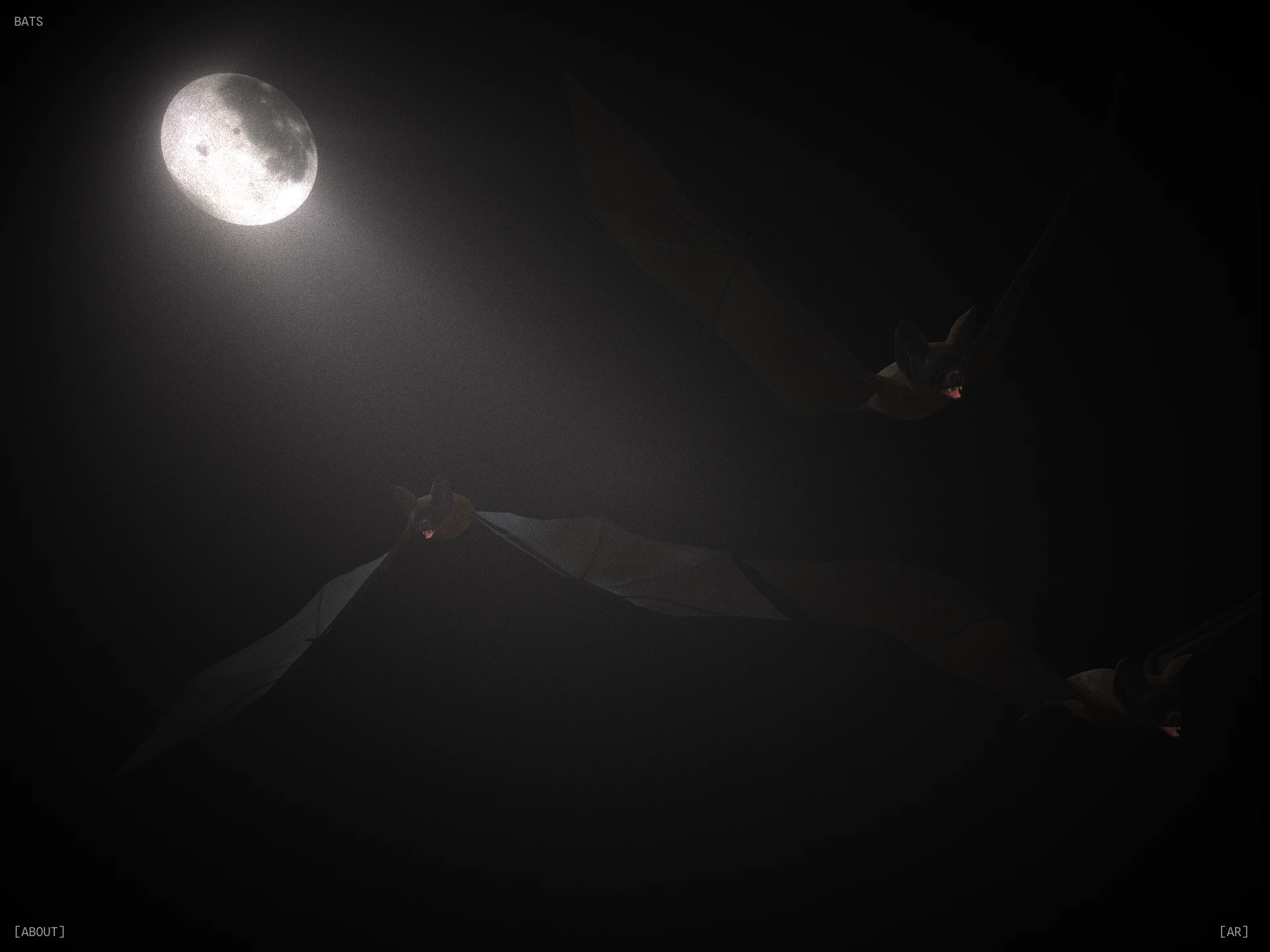 Bats