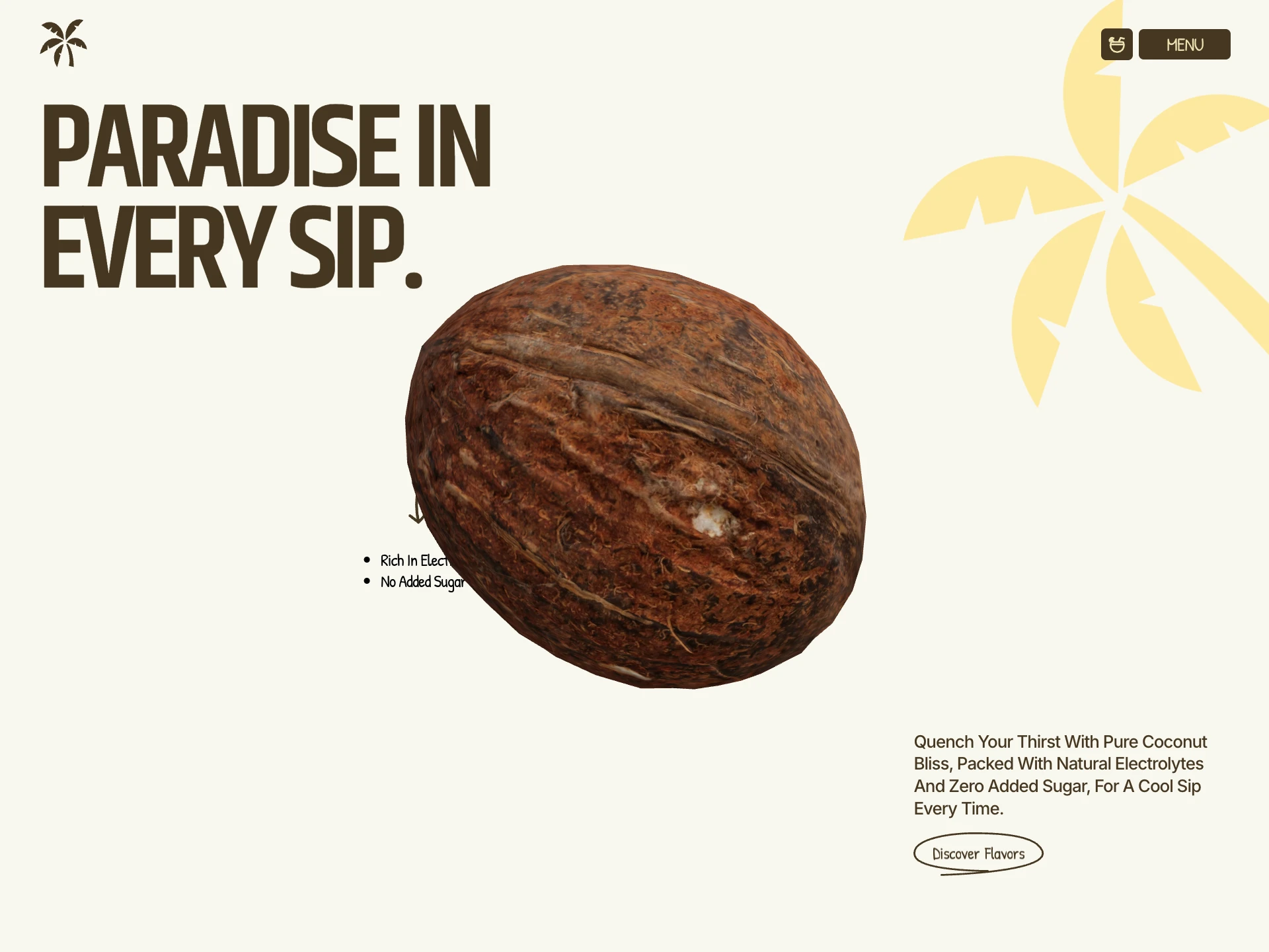Palmo Coconut Co. - Pure Coconut Water