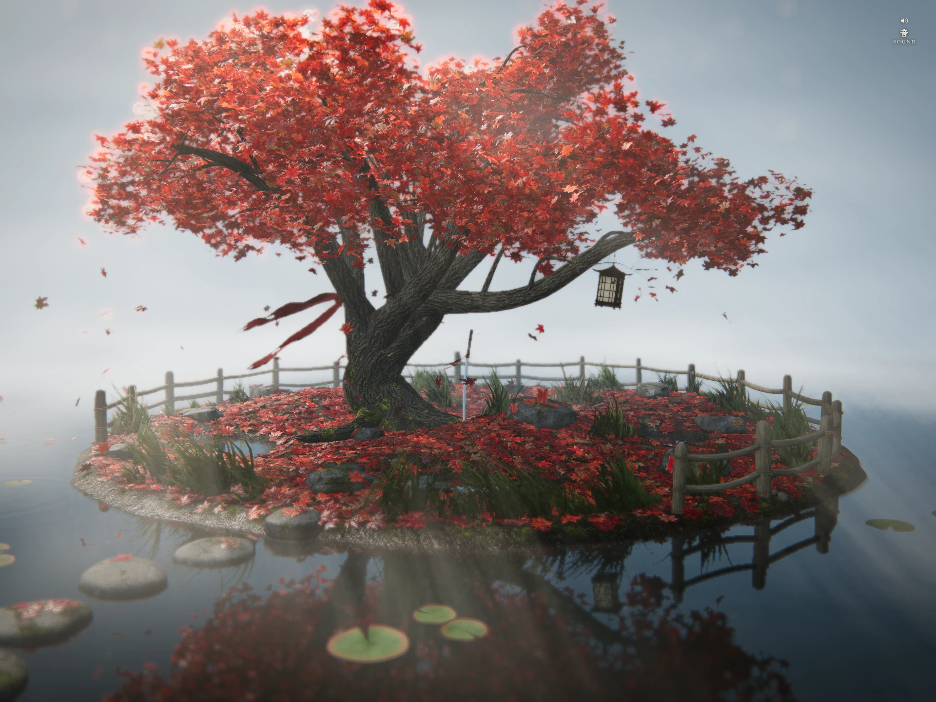 Momiji — A maple from dawn to moonlight
