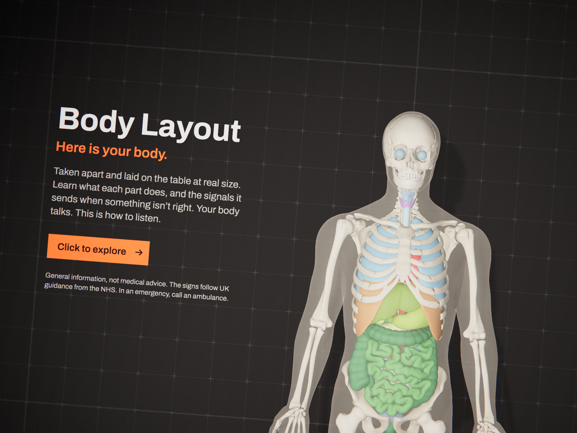 Body Layout